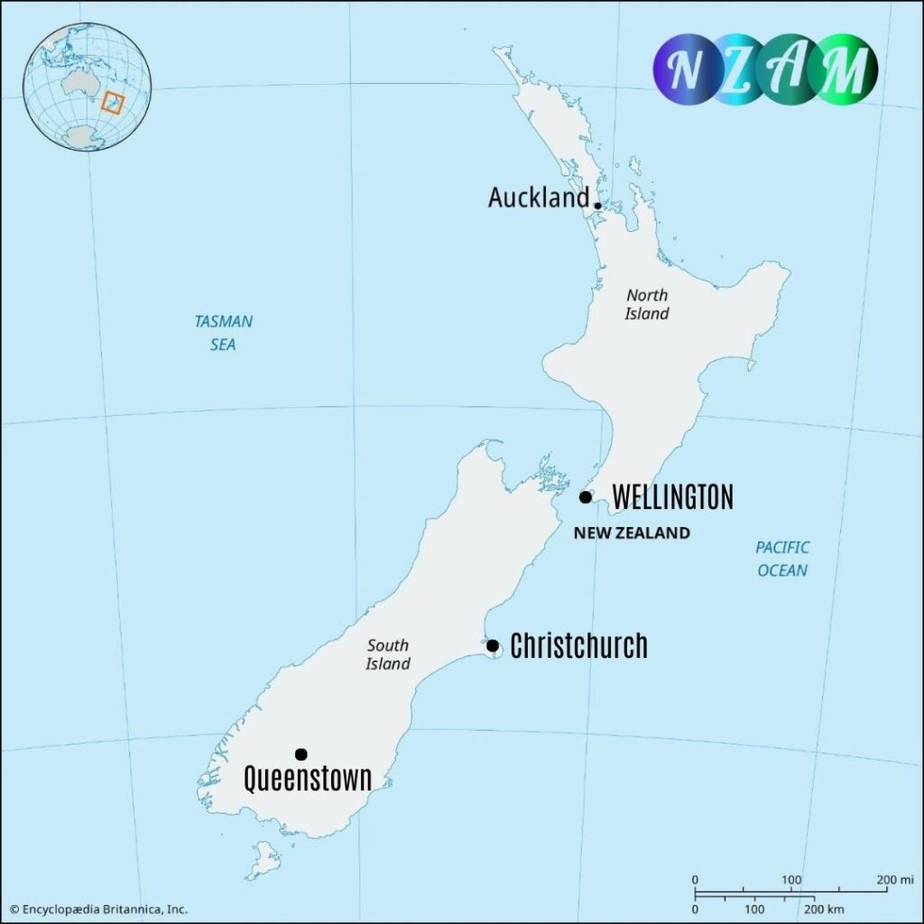 Contact NZ Asset Management